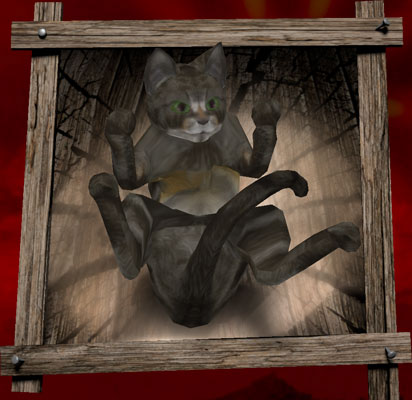 DrStrangeGato