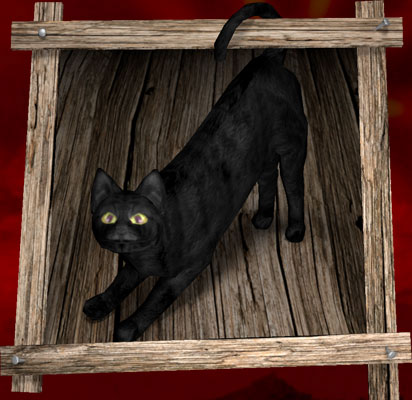 RKitty